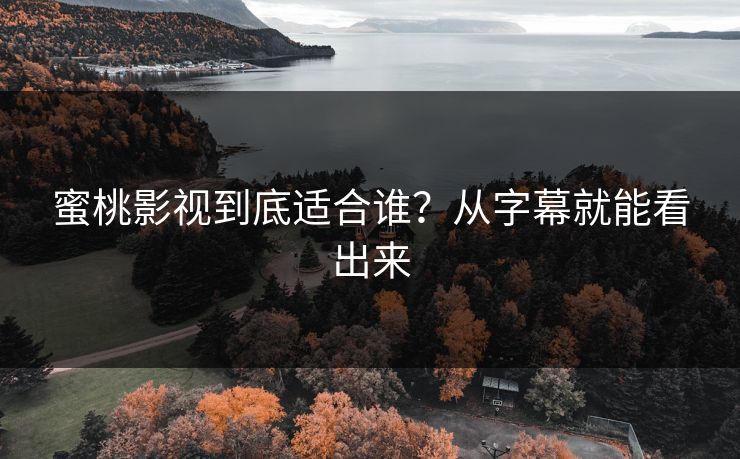 蜜桃影视到底适合谁？从字幕就能看出来