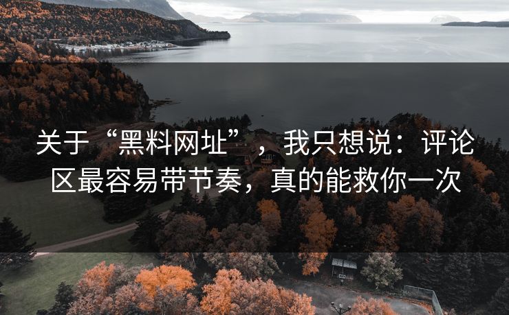 关于“黑料网址”，我只想说：评论区最容易带节奏，真的能救你一次